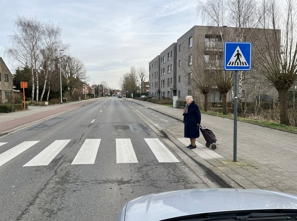 Het blauwe verkeersbord staat aan de oversteekplaats voor voetgangers. Een oudere vrouw in een marineblauwe jas met een boodschappenkarretje staat aan het zebrapad.